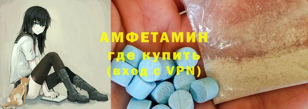 твердый Бородино