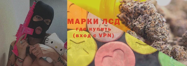 твердый Бородино