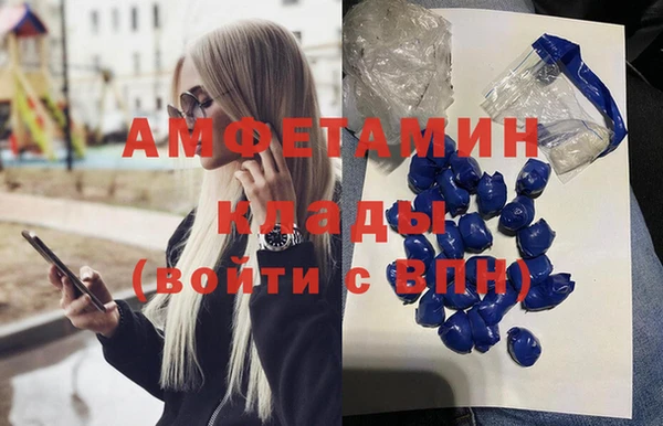 твердый Бородино