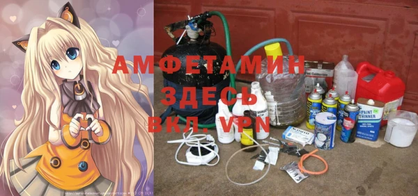 твердый Бородино