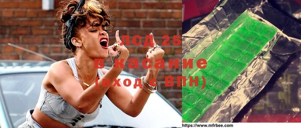 твердый Бородино