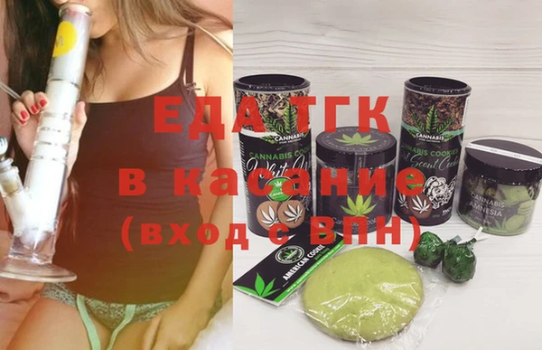 твердый Бородино