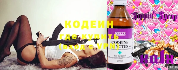 твердый Бородино