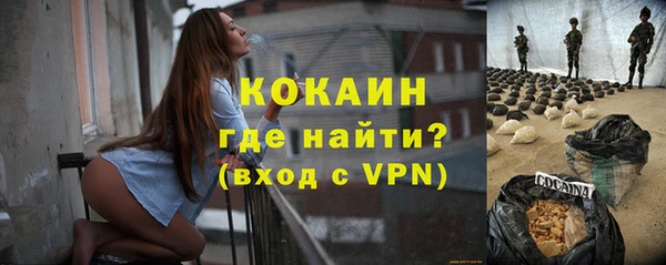 твердый Бородино