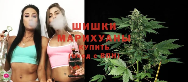 твердый Бородино