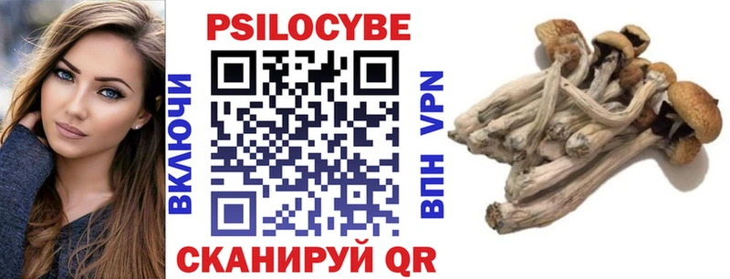 shop какой сайт  Воркута  Галлюциногенные грибы MAGIC MUSHROOMS 